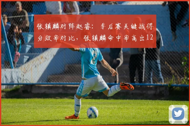 张镇麟对阵赵睿:季后赛关键战得分效率对比,张镇麟命中率高出12个百分点